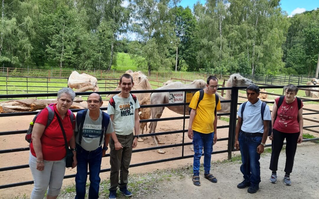 ZOO Dvorec a Rodeo v Malenicích